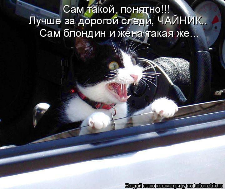 Сам такой, понятно!!! Лучше за дорогой следи, ЧАЙНИК.. Сам блондин и жена такая же...... Котоматрица: Сам такой, понятно!!! Лучше за дорогой следи, ЧАЙНИК.. Сам блондин и жена такая же...