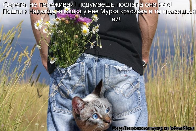 Серега, не переживай! подумаешь послала она нас! Пошли к Надежде, и кошка у нее Мурка красивее и ты н... Котоматрица: Серега, не переживай! подумаешь послала она нас! Пошли к Надежде, и кошка у нее Мурка красивее и ты нравишься ей!