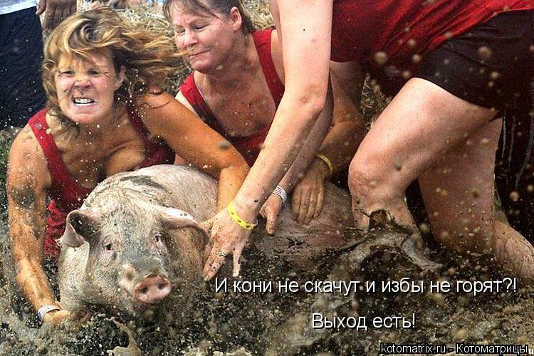 И кони не скачут и избы не горят?! Выход есть!... Котоматрица: И кони не скачут и избы не горят?! Выход есть!