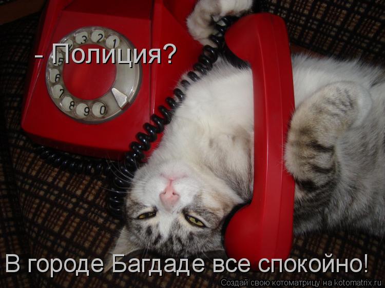 - Полиция? В городе Багдаде все спокойно!... Котоматрица: - Полиция? В городе Багдаде все спокойно!