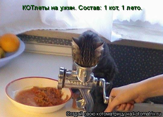КОТлеты на ужин. Состав: 1 кот, 1 лето.... Котоматрица: КОТлеты на ужин. Состав: 1 кот, 1 лето.
