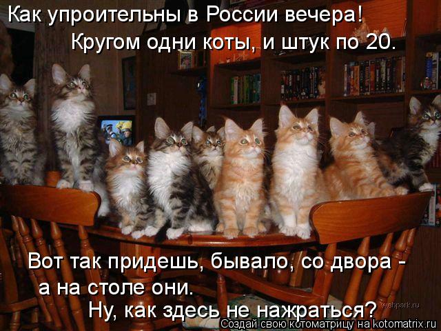 Как упроительны в России вечера! Вот так придешь, бывало, со двора - Кругом одни коты, и штук по 20.... Котоматрица: Как упроительны в России вечера! Вот так придешь, бывало, со двора - Кругом одни коты, и штук по 20. а на столе они. Ну, как здесь не нажраться?