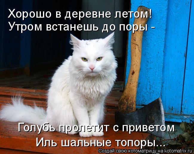 Хорошо в деревне летом! Утром встанешь до поры - Голубь пролетит с приветом Иль шальные топоры...... Котоматрица: Хорошо в деревне летом! Утром встанешь до поры - Голубь пролетит с приветом Иль шальные топоры...