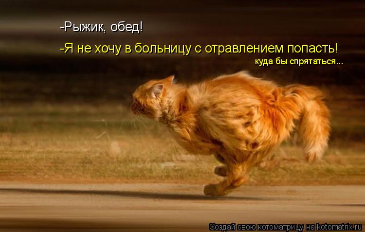 -Рыжик, обед! -Я не хочу в больницу с отравлением попасть! куда бы спрятаться...... Котоматрица: -Рыжик, обед! -Я не хочу в больницу с отравлением попасть! куда бы спрятаться...