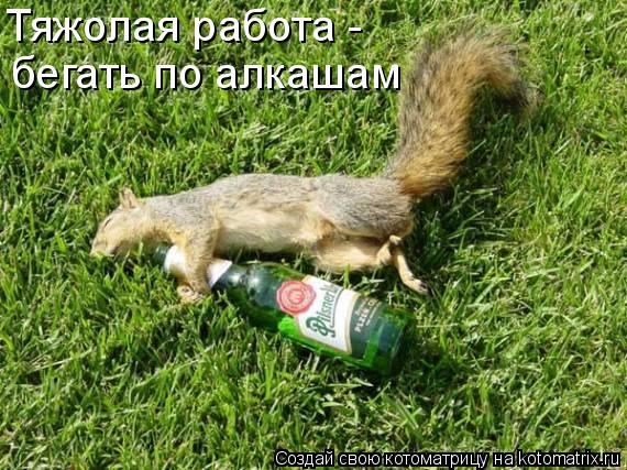Тяжолая работа - бегать по алкашам... Котоматрица: Тяжолая работа - бегать по алкашам