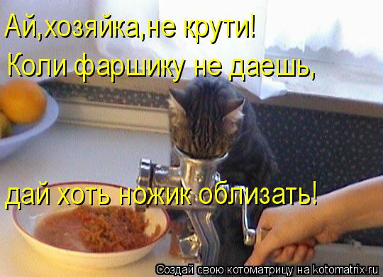 Ай,хозяйка,не крути! Коли фаршику не даешь, дай хоть ножик облизать!... Котоматрица: Ай,хозяйка,не крути! Коли фаршику не даешь, дай хоть ножик облизать!