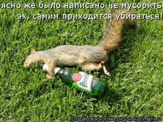 ясно же было написано не мусорить! эх, самим приходится убираться!... Котоматрица: ясно же было написано не мусорить! эх, самим приходится убираться!