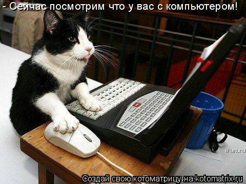 Котоматрица: - Сейчас посмотрим что у вас с компьютером!