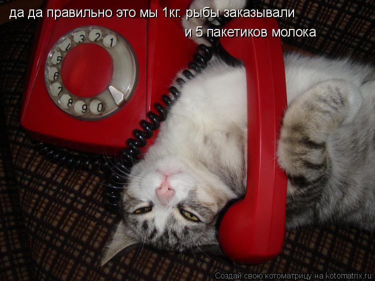 да да правильно это мы 1кг. рыбы заказывали и 5 пакетиков молока... Котоматрица: да да правильно это мы 1кг. рыбы заказывали и 5 пакетиков молока