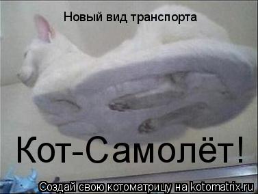 Новый вид транспорта Кот-Самолёт!... Котоматрица: Новый вид транспорта Кот-Самолёт!