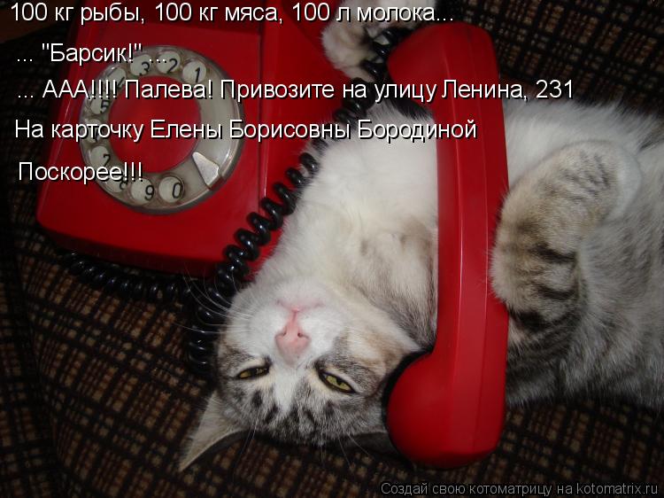 100 кг рыбы, 100 кг мяса, 100 л молока... ... "Барсик!" ... ... ААА!!!! Палева! Привозите на улицу Ле... Котоматрица: 100 кг рыбы, 100 кг мяса, 100 л молока... ... "Барсик!" ... ... ААА!!!! Палева! Привозите на улицу Ленина, 231 На карточку Елены Борисовны Бородиной П