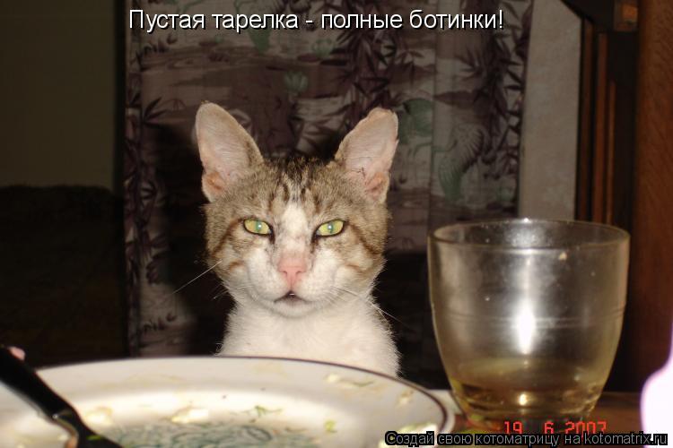 Котоматрица: Пустая тарелка - полные ботинки!