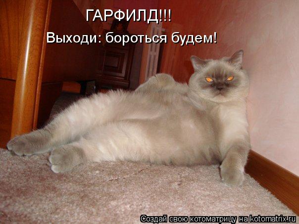 ГАРФИЛД!!! Выходи: бороться будем!... Котоматрица: ГАРФИЛД!!! Выходи: бороться будем!