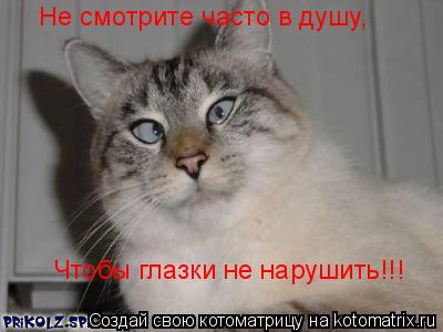 Не смотрите часто в душу, Чтобы глазки не нарушить!!!... Котоматрица: Не смотрите часто в душу, Чтобы глазки не нарушить!!!