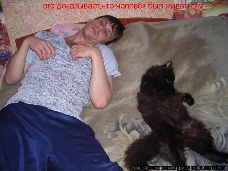это доказывает,что человек был животным... Котоматрица: это доказывает,что человек был животным