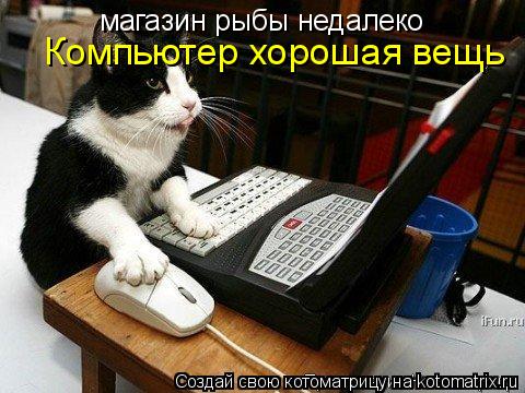 магазин рыбы недалеко Компьютер хорошая вещь... Котоматрица: магазин рыбы недалеко Компьютер хорошая вещь