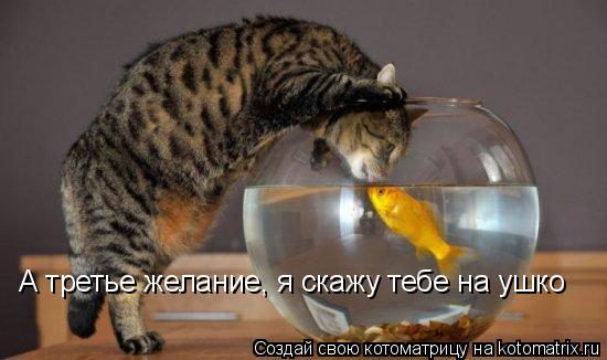 А третье желание, я скажу тебе на ушко... Котоматрица: А третье желание, я скажу тебе на ушко