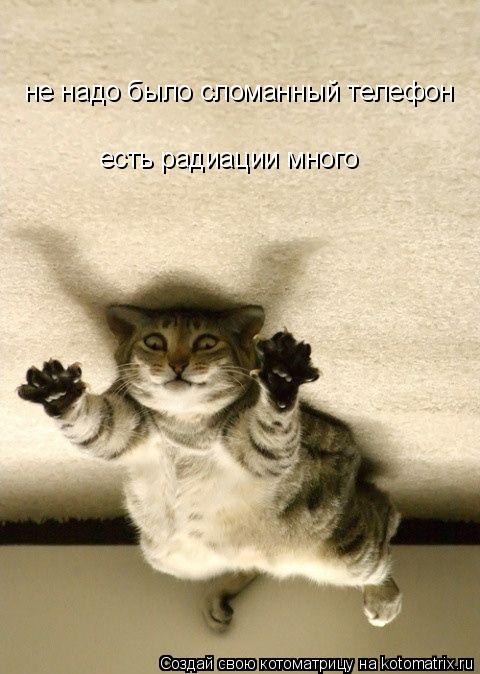 не надо было сломанный телефон есть радиации много... Котоматрица: не надо было сломанный телефон есть радиации много