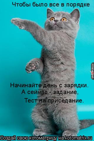 Чтобы было все в порядке Начинайте день с зарядки. А сейчас - задание, Тест на приседание.... Котоматрица: Чтобы было все в порядке Начинайте день с зарядки. А сейчас - задание, Тест на приседание.