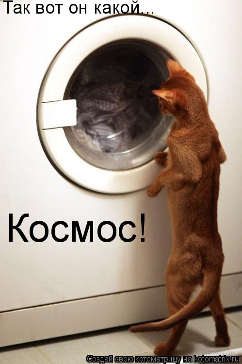 Котоматрица: Так вот он какой... Космос!