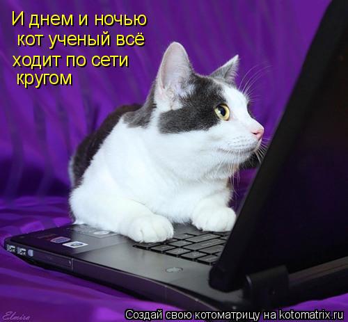 И днем и ночью кот ученый всё ходит по сети кругом... Котоматрица: И днем и ночью кот ученый всё ходит по сети кругом