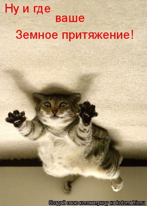 Ну и где ваше Земное притяжение!... Котоматрица: Ну и где ваше Земное притяжение!