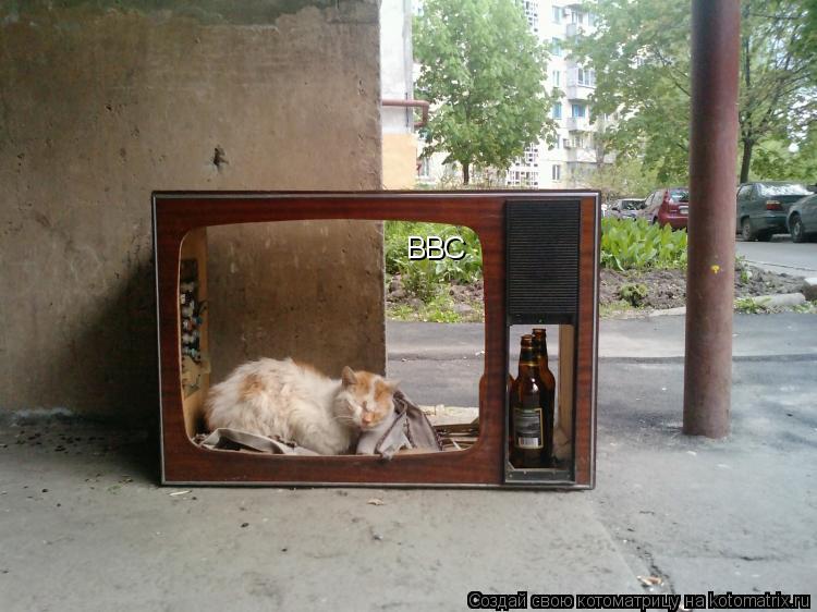 ВВС... Котоматрица: ВВС