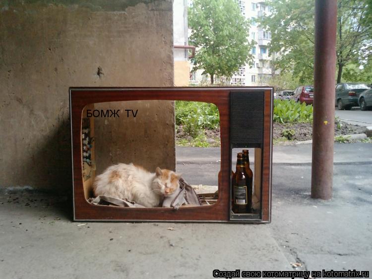 БОМЖ TV... Котоматрица: БОМЖ TV