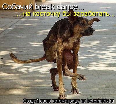 Собачий break-dance... ...-на косточку бы заработать...... Котоматрица: Собачий break-dance... ...-на косточку бы заработать...