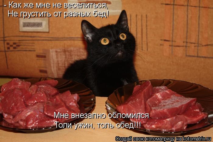 - Как же мне не веселиться, Не грустить от разных бед! Мне внезапно обломился Толи ужин, толь обед!!!... Котоматрица: - Как же мне не веселиться, Не грустить от разных бед! Мне внезапно обломился Толи ужин, толь обед!!!