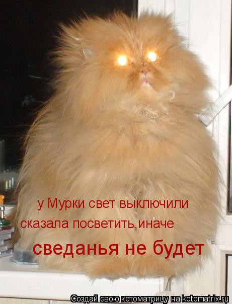 Котоматрица: у Мурки свет выключили сказала посветить,иначе сведанья не будет