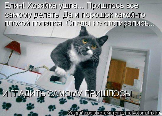 Блин! Хозяйка ушла... Пришлось все Блин! Хозяйка ушла... Пришлось все самому делать. Да и порошок ка... Котоматрица: Блин! Хозяйка ушла... Пришлось все Блин! Хозяйка ушла... Пришлось все самому делать. Да и порошок какой-то плохой попался. Следы не отстиралис