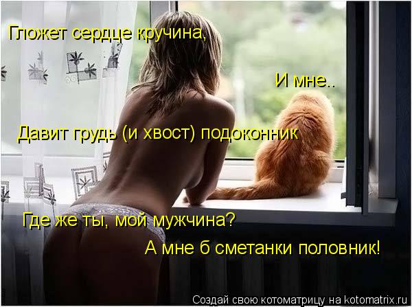 Где же ты, мой мужчина? А мне б сметанки половник! Гложет сердце кручина, И мне.. Давит грудь (и хво... Котоматрица: Где же ты, мой мужчина? А мне б сметанки половник! Гложет сердце кручина, И мне.. Давит грудь (и хвост) подоконник