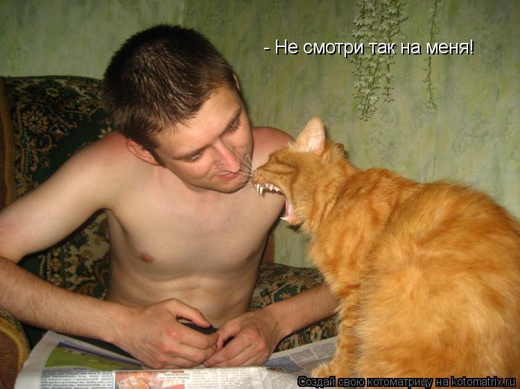 - Не смотри так на меня!... Котоматрица: - Не смотри так на меня!