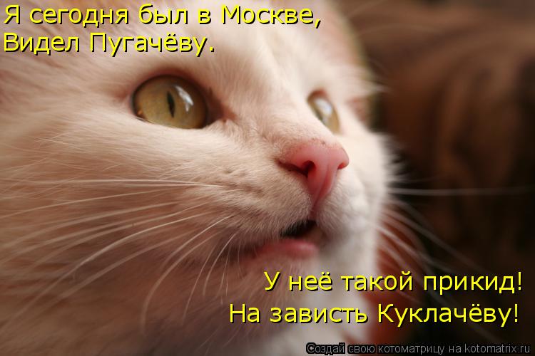 Котоматрица: Я сегодня был в Москве, Видел Пугачёву. У неё такой прикид! На зависть Куклачёву!