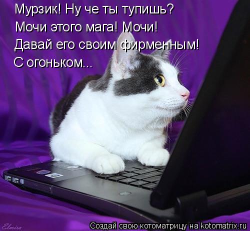 Мурзик! Ну че ты тупишь? Мочи этого мага! Мочи! Давай его своим фирменным! С огоньком...... Котоматрица: Мурзик! Ну че ты тупишь? Мочи этого мага! Мочи! Давай его своим фирменным! С огоньком...
