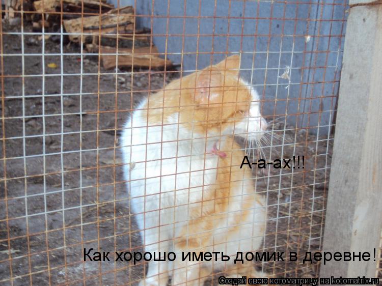 Котоматрица: Как хорошо иметь домик в деревне! А-а-ах!!!