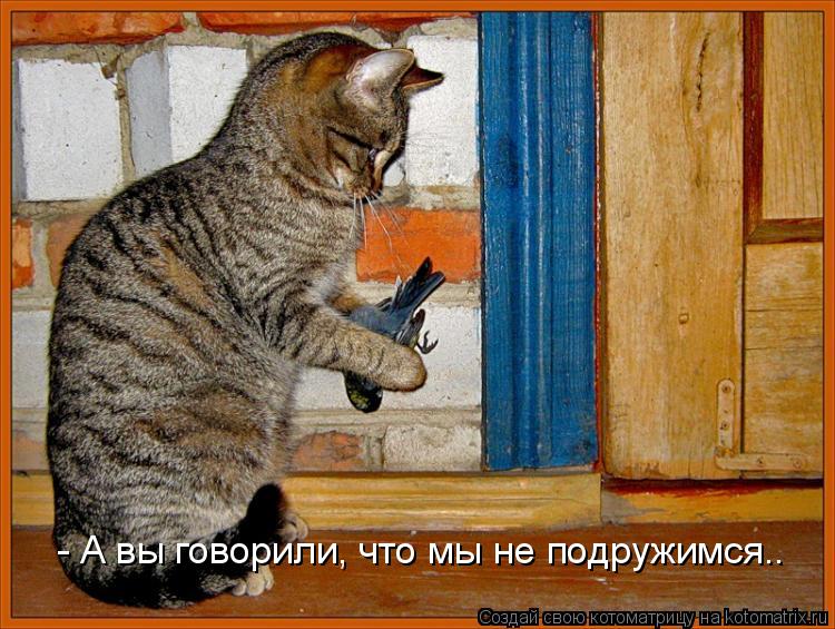 - А вы говорили, что мы не подружимся..... Котоматрица: - А вы говорили, что мы не подружимся..