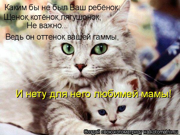 Каким бы не был Ваш ребёнок: Щенок,котёнок,лягушонок, Не важно... Ведь он оттенок вашей гаммы, И нету... Котоматрица: Каким бы не был Ваш ребёнок: Щенок,котёнок,лягушонок, Не важно... Ведь он оттенок вашей гаммы, И нету для него любимей мамы!