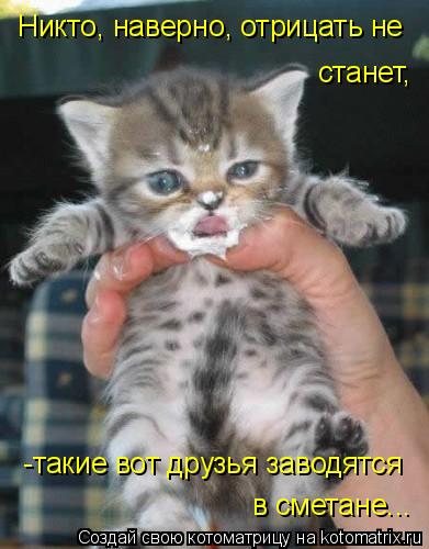 Никто, наверно, отрицать не станет, -такие вот друзья заводятся в сметане...... Котоматрица: Никто, наверно, отрицать не станет, -такие вот друзья заводятся в сметане...