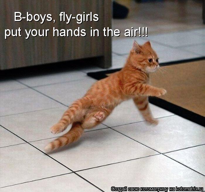 Котоматрица: B-boys, fly-girls put your hands in the air!!!