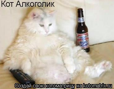 Кот Алкоголик... Котоматрица: Кот Алкоголик