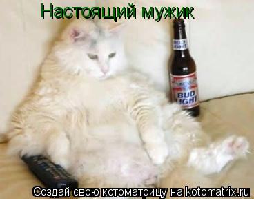Настоящий мужик... Котоматрица: Настоящий мужик