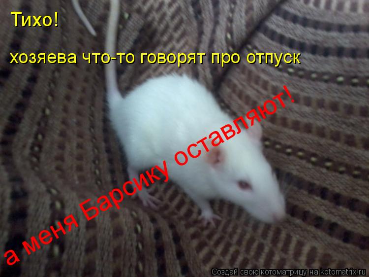 Котоматрица: Тихо! хозяева что-то говорят про отпуск а меня Барсику оставляют!