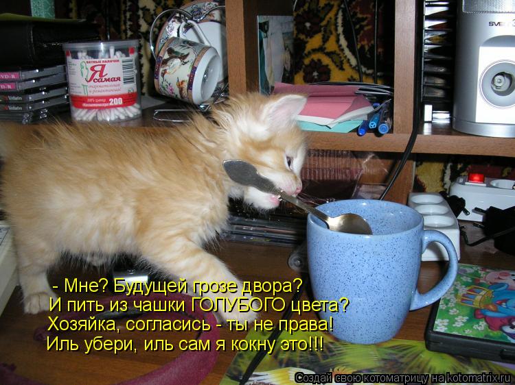 - Мне? Будущей грозе двора? И пить из чашки ГОЛУБОГО цвета? Хозяйка, согласись - ты не права! Иль убе... Котоматрица: - Мне? Будущей грозе двора? И пить из чашки ГОЛУБОГО цвета? Хозяйка, согласись - ты не права! Иль убери, иль сам я кокну это!!!