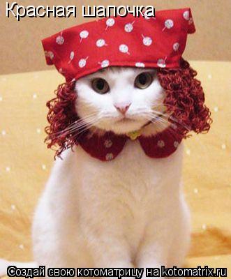 Красная шапочка... Котоматрица: Красная шапочка