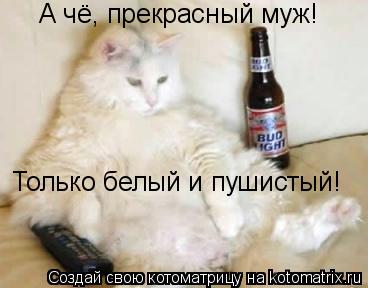 Котоматрица: А чё, прекрасный муж! Только белый и пушистый!