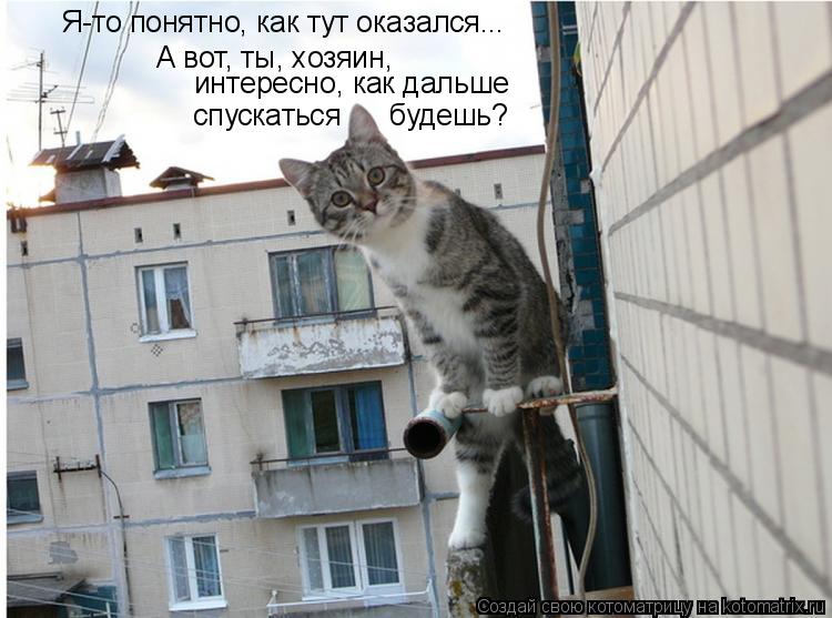 Я-то понятно, как тут оказался... А вот, ты, хозяин, интересно, как дальше спускаться будешь?... Котоматрица: Я-то понятно, как тут оказался... А вот, ты, хозяин, интересно, как дальше спускаться будешь?