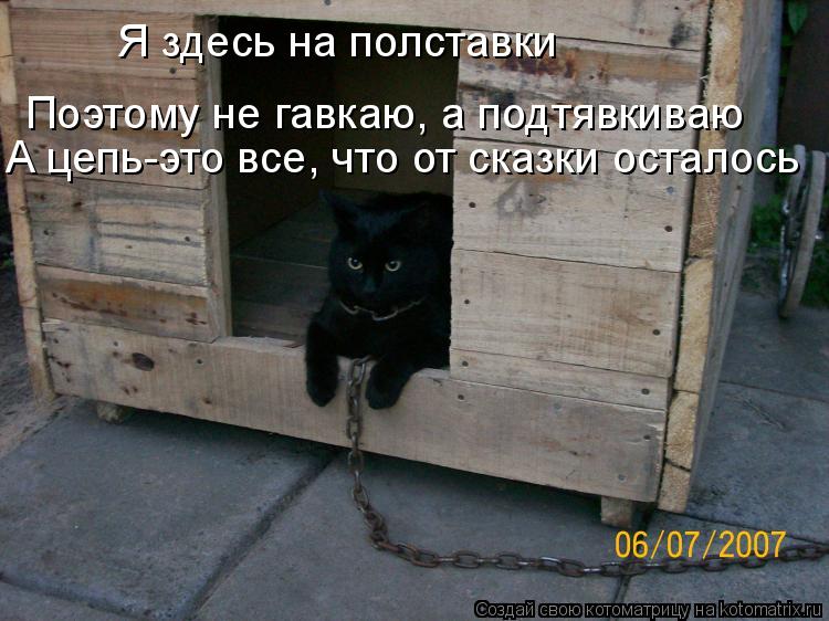 Я здесь на полставки Поэтому не гавкаю, а подтявкиваю А цепь-это все, что от сказки осталось... Котоматрица: Я здесь на полставки Поэтому не гавкаю, а подтявкиваю А цепь-это все, что от сказки осталось