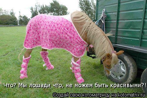 Котоматрица: Что? Мы лошади что, не можем быть красивыми?!